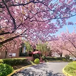 Beautiful Apt, Woffice Area 2Br, Long Term