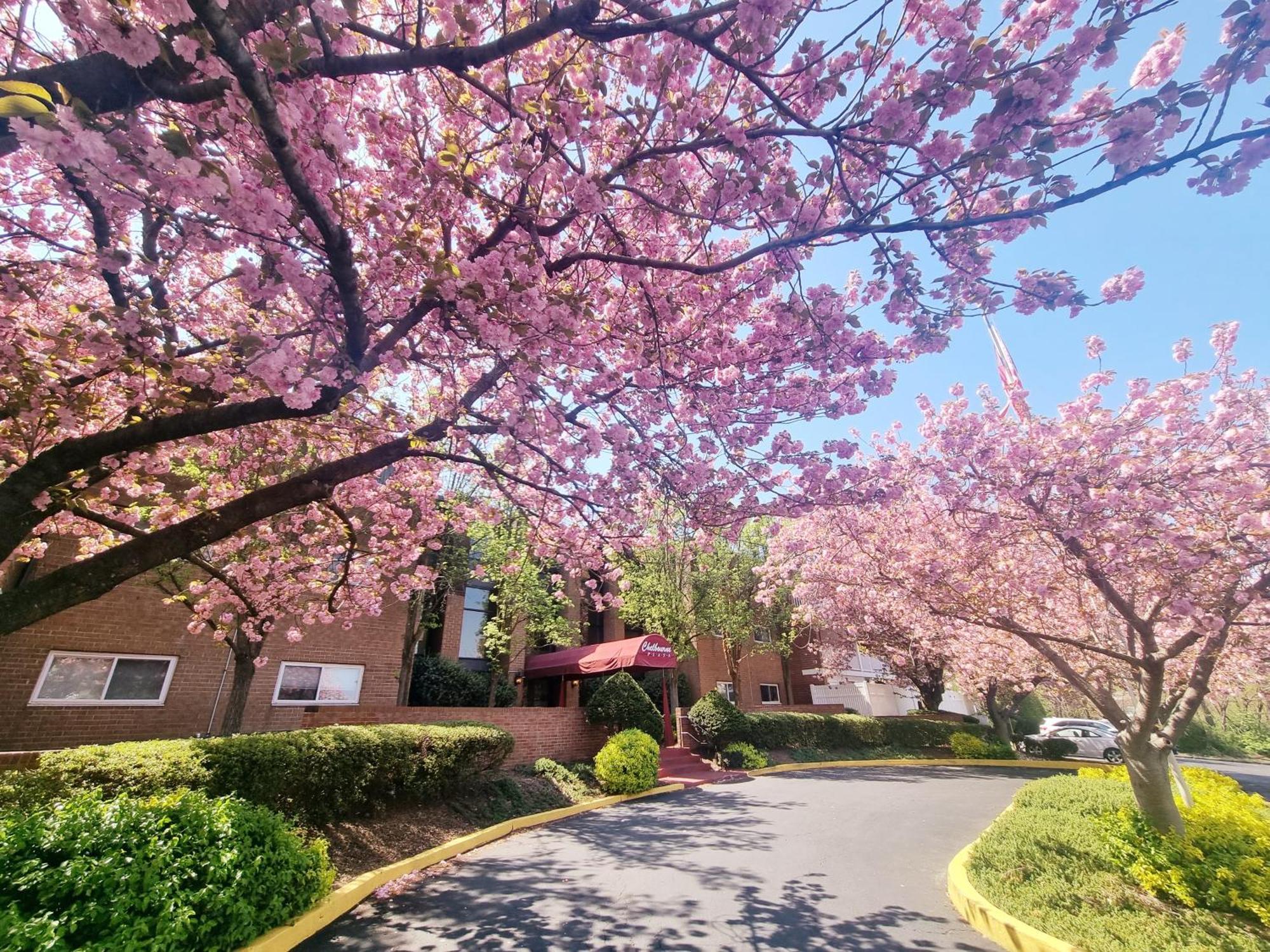 Beautiful Apt, Woffice Area 2br, Long Term